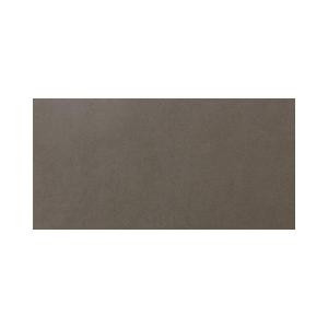 Daltile Plaza Nova Green Mist 12 in. x 24 in. Porcelain Floor and Wall Tile (9.68 sq. ft. / case)-PN9712241P 202667128