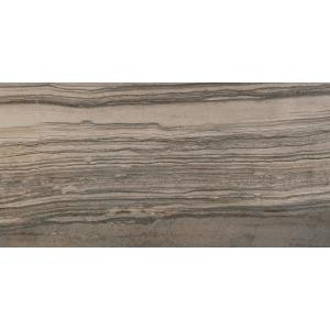Emser Motion Signal 12 in. x 24 in. Porcelain Floor and Wall Tile (11.64 sq. ft. / case)-1143513 205749228