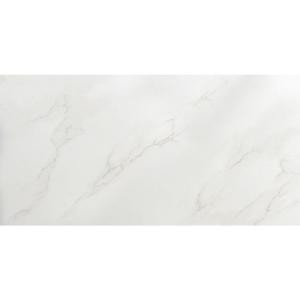 Emser Paladino Albanella Polished 12 in. x 24 in. Porcelain Floor and Wall Tile (15.44 sq. ft. / case)-1067127 204736456