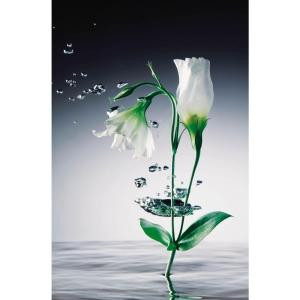 Ideal Decor 69 in. x 0.25 in. Crystal Flowers Wall Mural-DM673 204414713