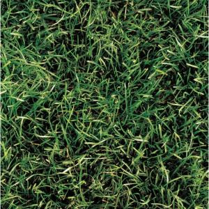 imagine tile Grass Series 8 in. x 8 in. Standard Finish Ceramic Floor and Wall Tile (7.1 sq. ft. / case)-8050 204617117