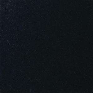 MS International Absolute Black 12 in. x 12 in. Polished Granite Floor and Wall Tile (10 sq. ft. / case)-TABSBLK1212 202508270