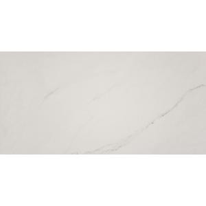 MS International Aria Ice 12 in. x 24 in. Polished Porcelain Floor and Wall Tile (16 sq. ft. / case)-NARICE1224P 300678075