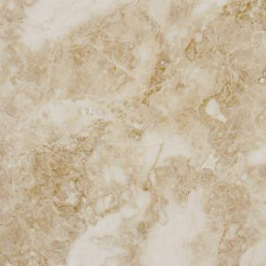 MS International Cappuccino 18 in. x 18 in. Polished Marble Floor and Wall Tile (9 sq. ft. / case)-TTCAPU1818P 202508304