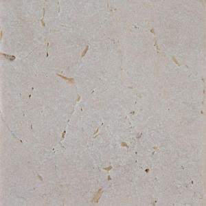 MS International Crema Marfil 4 in. x 4 in. Tumbled Marble Floor and Wall Tile (1 sq. ft. / case)-TCREMAR44T 202508285