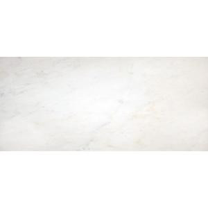 MS International Greecian White 12 in. x 24 in. Polished Marble Floor and Wall Tile (10 sq. ft. / case)-THDVENWHT1224 202919771