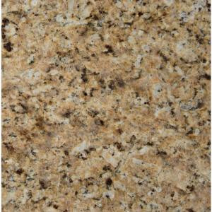MS International St. Helena Gold 12 in. x 12 in. Polished Granite Floor and Wall Tile (10 sq. ft. / case)-THELGLD1212 202508264