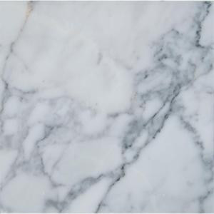 MS International Statuary Venato 12 in. x 12 in. Polished Marble Floor and Wall Tile (10 sq. ft. / case)-TSTATU1212 205762433