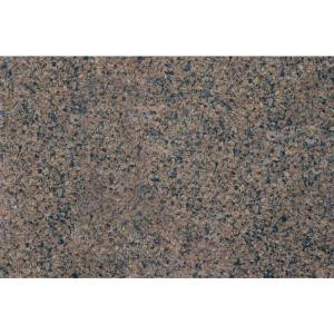 MS International Tropic Brown 18 in. x 31 in. Polished Granite Floor and Wall Tile (7.75 sq. ft. / case)-TGCTROPBRN1831 202194699