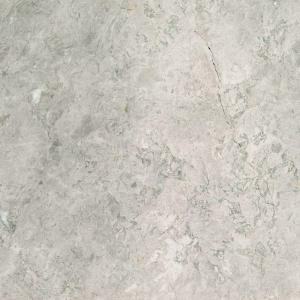 MS International Tundra Gray 18 in. x 18 in. Polished Marble Floor and Wall Tile (9 sq. ft. / case)-TTUNGRY1818P 205762444