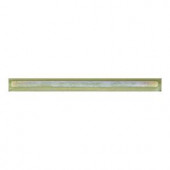 Daltile Cristallo Glass Peridot 3/4 in. x 8 in. Pencil Glass Accent Wall Tile-CR52348DECOA1P 202647709