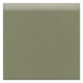 Daltile Semi-Gloss Garden Spot 4-1/4 in. x 4-1/4 in. Ceramic Bullnose Wall Tile-0141S44491P1 202625047