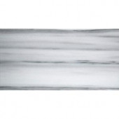 Emser Metro White 3 in. x 6 in. Marble Floor and Wall Tile-1154634 204765732