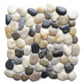 Islander Multi 12 in. x 12 in. Natural Pebble Stone Floor and Wall Tile (10 sq. ft. / case)-20-1-MLT 205932326