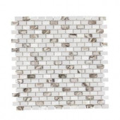 Jeffrey Court Lucky Cove 12.25 in. x 12 in. x 8 mm Glass and Shell Mosaic Wall Tile-99593 204659485