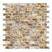 Jeffrey Court Pacific Coast 11-1/2 in. x 11-1/2 in. x 3 mm Shell Brick Mosaic Tile-99775 205594414