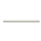 Jeffrey Court Weather Grey Pencil 3/4 in. x 12 in. Ceramic Molding Tile-99359 205952836