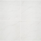 MS International Aria Ice 24 in. x 24 in. Polished Porcelain Floor and Wall Tile (16 sq. ft. / case)-NARIICE2424P 300678071