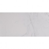 MS International Carrara 12 in. x 24 in. Glazed Polished Porcelain Floor and Wall Tile (16 sq. ft. / case)-NHDCARR1224P 205138045
