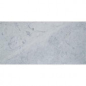 MS International Carrara White 12 in. x 24 in. Honed Marble Floor and Wall Tile (12 sq. ft. / case)-TCARRWHT1224H 205762408