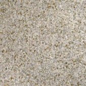MS International Gold Rush 18 in. x 18 in. Polished Granite Floor and Wall Tile (11.25 sq. ft. / case)-TGLDRUS1818 202508276