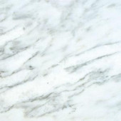MS International Greecian White 18 in. x 18 in. Polished Marble Floor and Wall Tile (11.25 sq. ft. / case)-TARACAR18180.38P 204701836