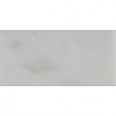 MS International Greecian White 3 in. x 6 in. Polished Marble Floor and Wall Tile (1 sq. ft. / case)-THDW1-T-GRE-3x6 100664302