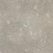 MS International Nova Verde 12 in. x 12 in. Honed Limestone Floor and Wall Tile (10 sq. ft. / case)-TNOVVER1212H 202508395