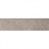 MS International Petra Classica 6 in. x 24 in. Glazed Porcelain Floor and Wall Tile (14 sq. ft. / case)-NHDPETCLA6X24 206365686