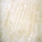 MS International Platinum Travertine 18 in. x 18 in. Honed Travertine Floor and Wall Tile (9 sq. ft. / case)-TTPLAT1818HF 202519412