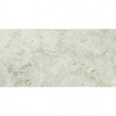 MS International Tundra Gray 3 in. x 6 in. Polished Marble Floor and Wall Tile (5 sq. ft. / case)-TTUNGRY3X6P 205849647